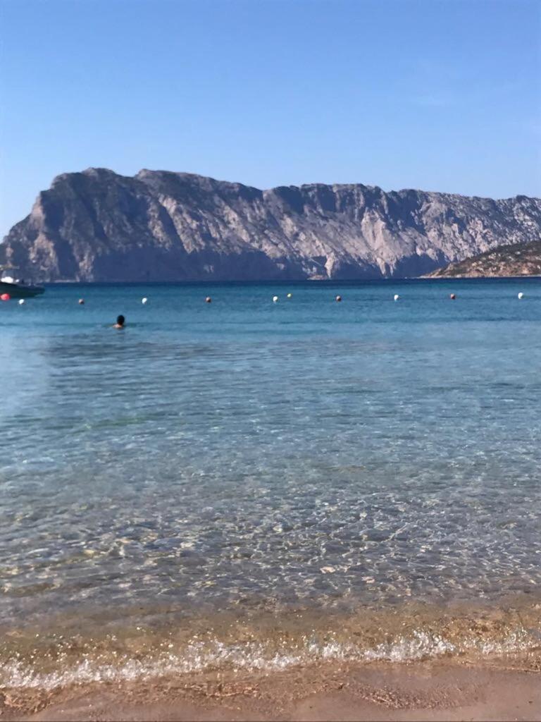 Hotel Al Faro Spiaggia La Cinta Santeodoro San Teodoro  Εξωτερικό φωτογραφία